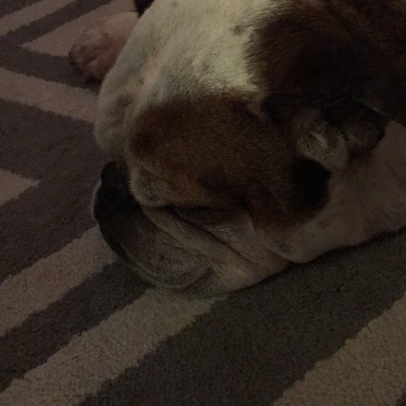 Meet your Posher, David - Picture 1 of 1